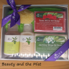 Medium Gift Set with Shampoo, Hair Conditioner, 2 Bars of Soap and Sponge
